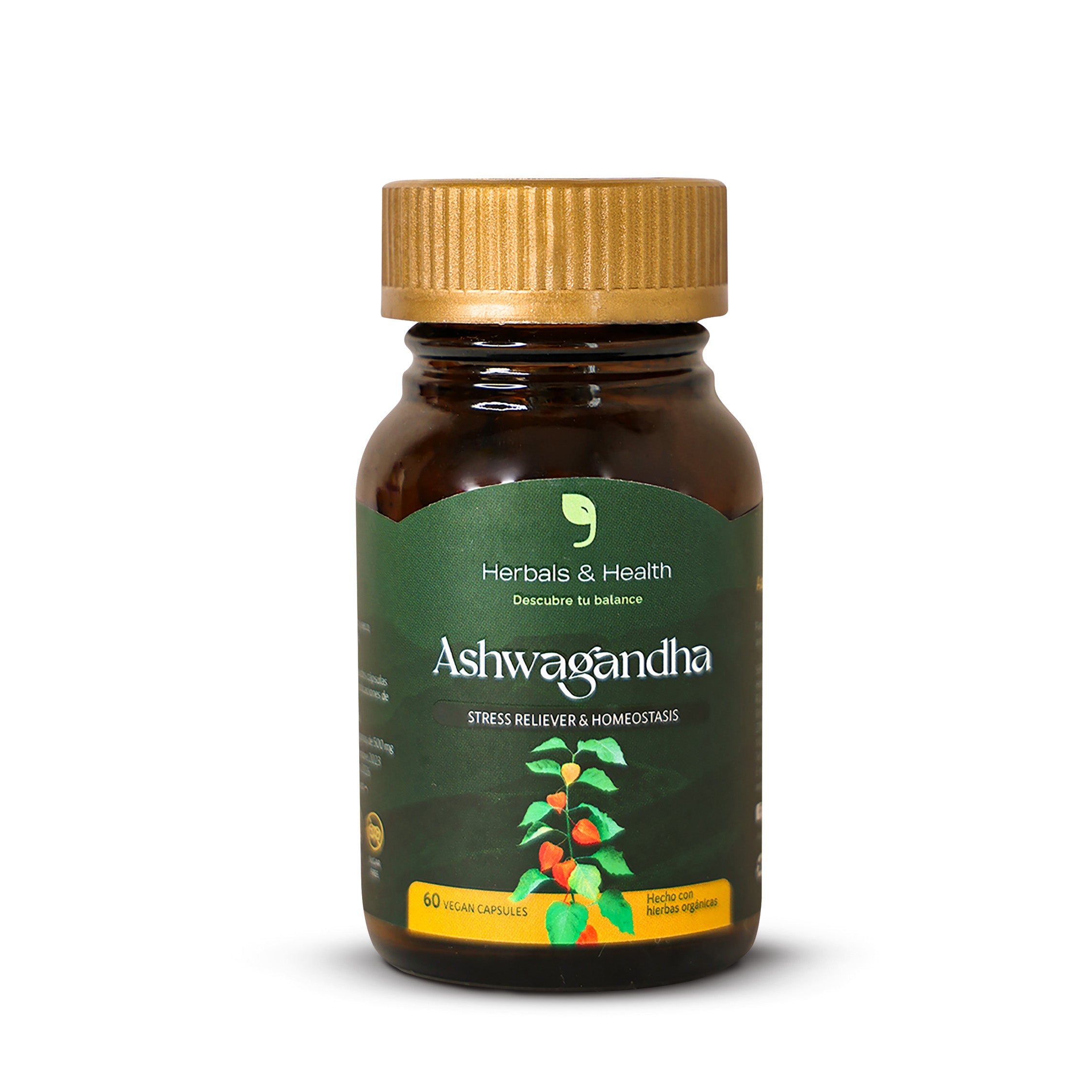 ASHUAGANADA